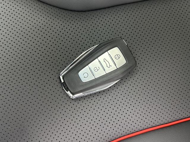 Geely Binrui 2024