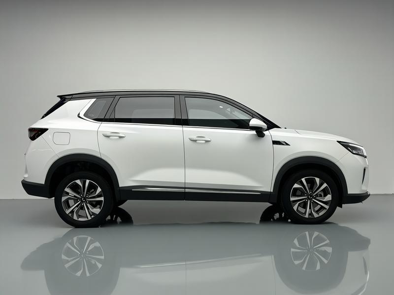 Wuling Wuling Xingchen 2022