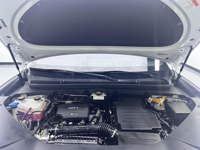BYD Sea Lion 06DM 2025