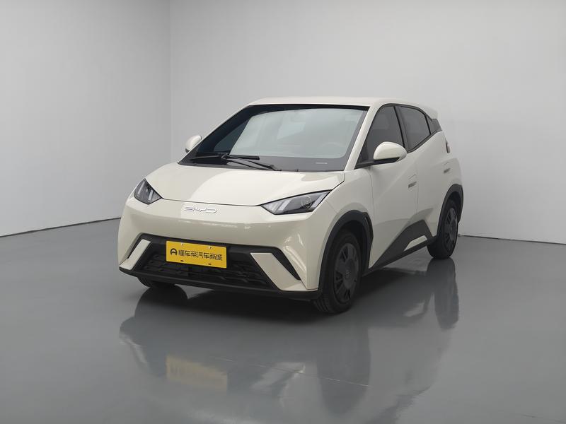 BYD seagull 2024