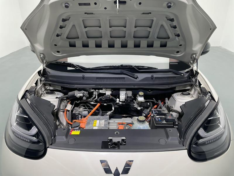 Wuling Wuling Binguo 2024
