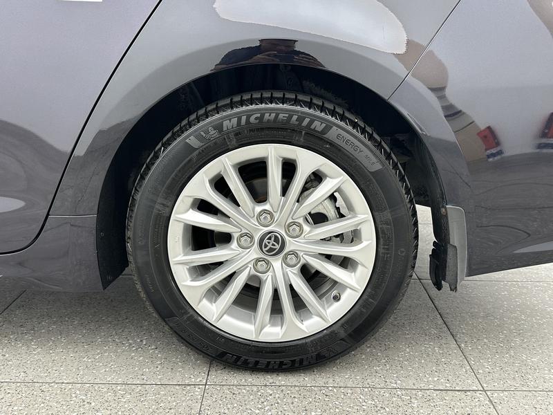 Toyota Asian lion 2021