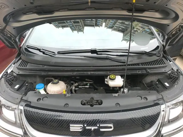 BYD dolphin Fashion edition