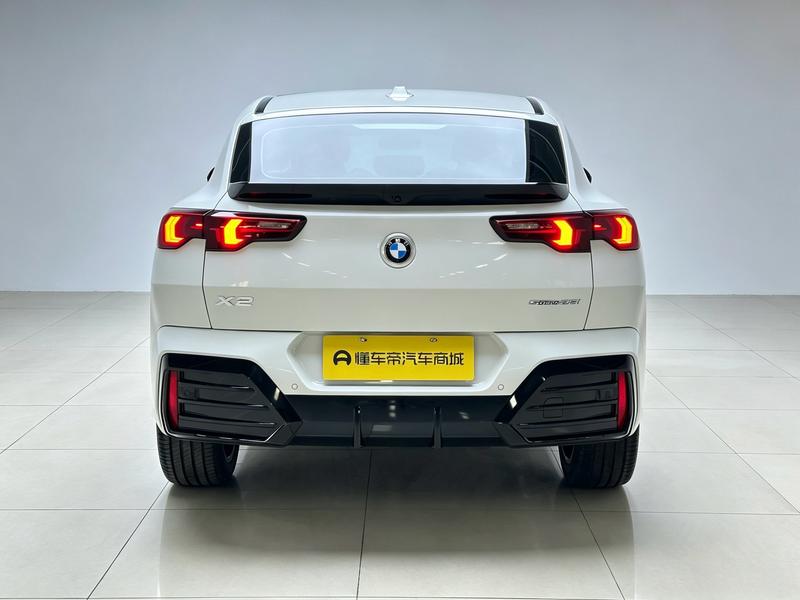 BMW BMW X2 (imported) 2024