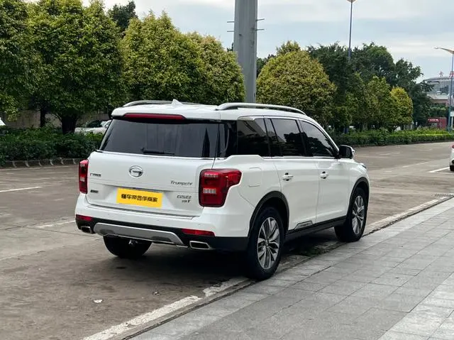 GAC Trumpchi GS8 320T two-wheel drive luxury Zhilian Edition 7 seats