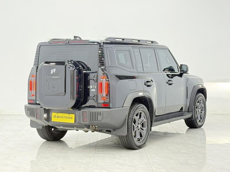 Jetour Shanhai Jetour Traveler C-DM 2024