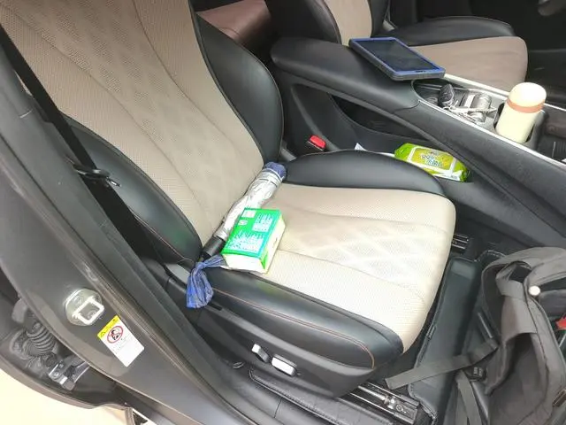 BYD dolphin Fashion edition