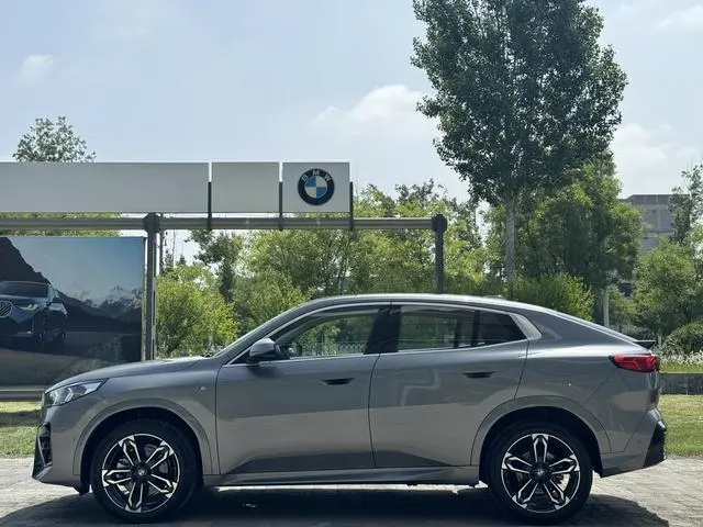 BMW BMW X2 (imported) sDrive25i M sports suit