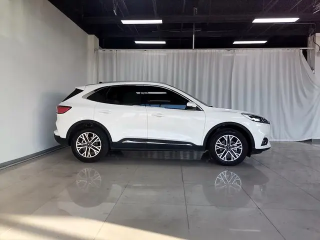 Ford Ruiji EcoBoost 245 two-wheel drive Yaoxiang model