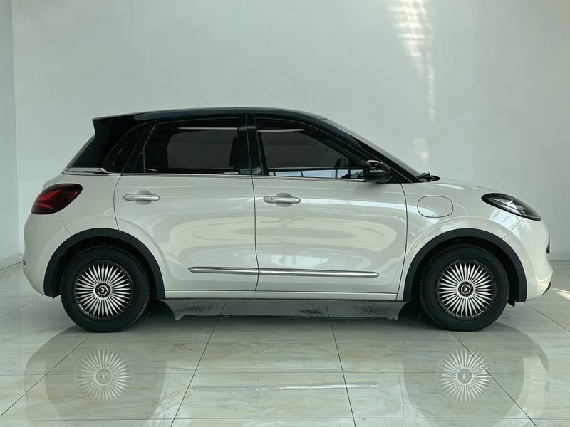 Wuling Wuling Binguo 2023