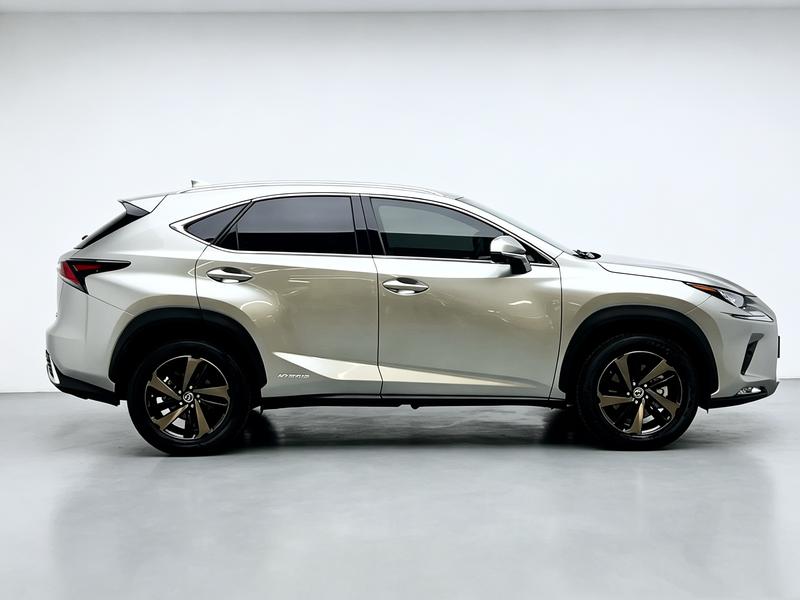 Lexus Lexus NX 2020