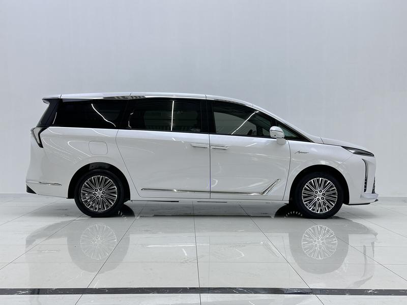 Buick Buick GL8 PHEV 2024