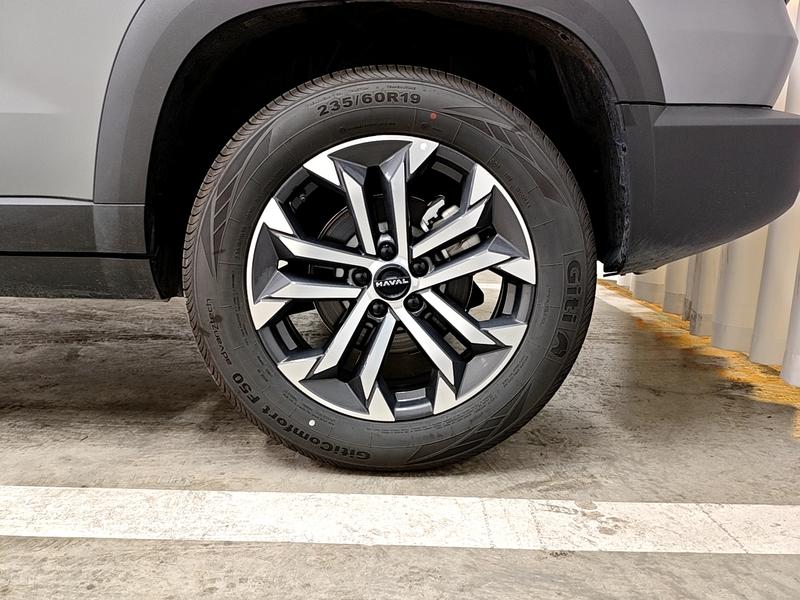 Haval 长城大狗 2026