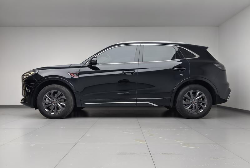 Hongqi Red Flag HS5 2024