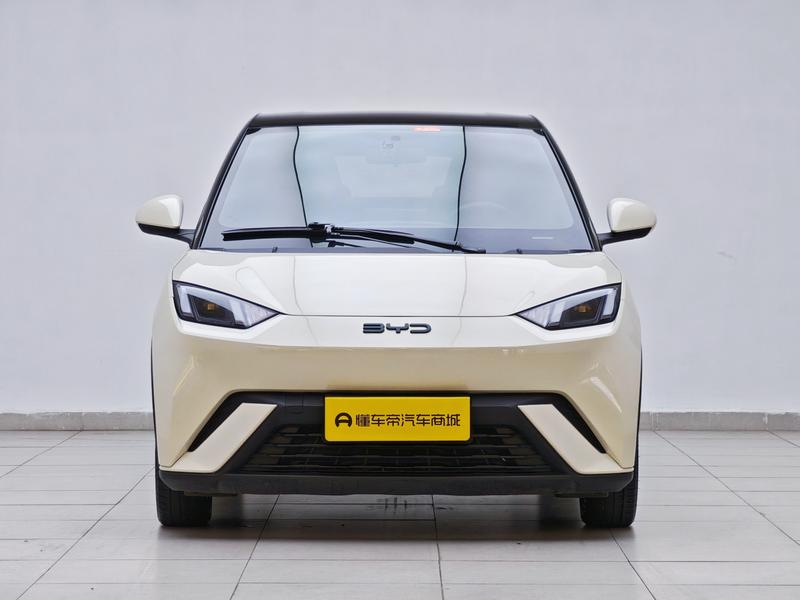 BYD seagull 2025