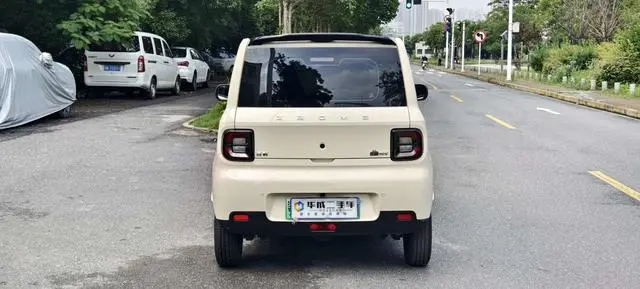 Geely Galaxy panda 210km panda mini vitality bear