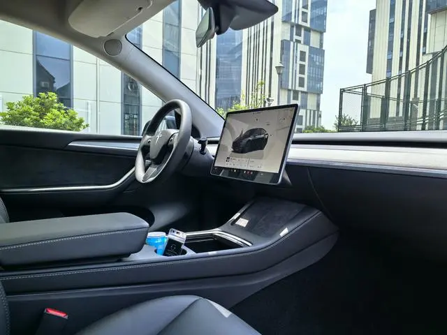 Tesla Model Y Rear-wheel drive version