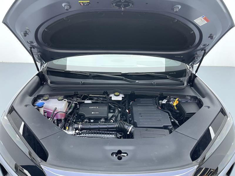 BYD Sea Lion 06DM 2025