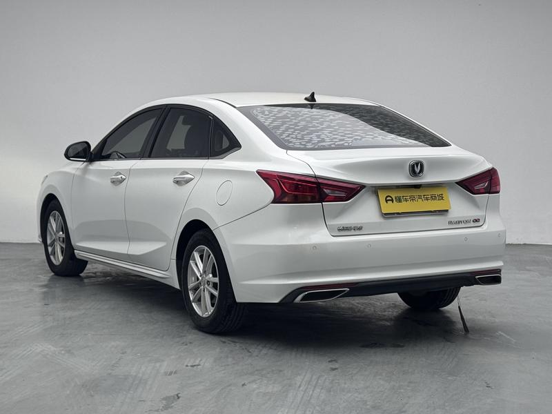 Changan Ruicheng CC 2020