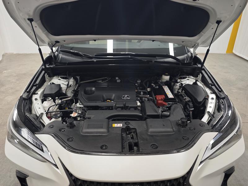 Lexus Lexus NX 2024