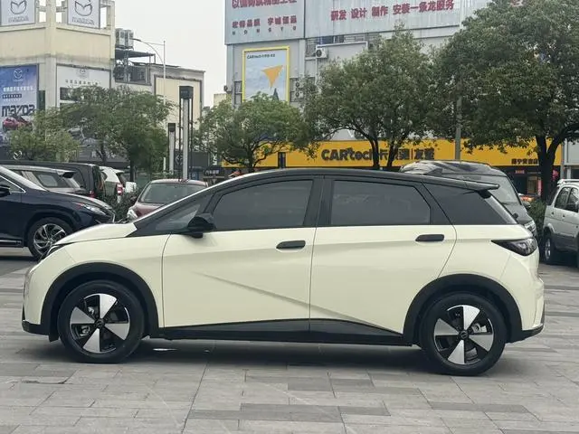 BYD dolphin Fashion edition