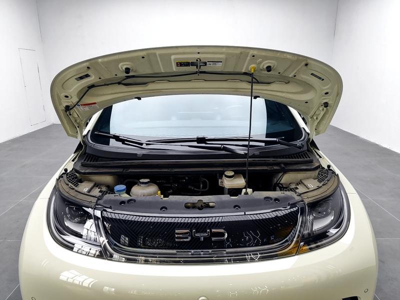 BYD dolphin 2025