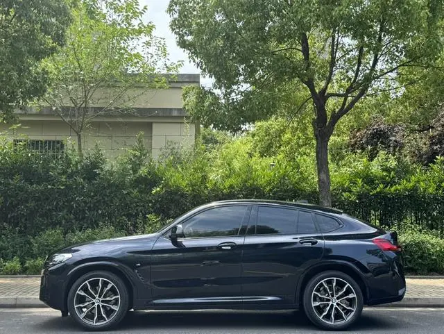 BMW BMW X4 xDrive 30i M sports suit