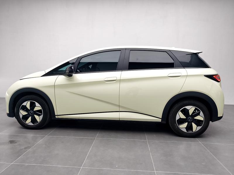 BYD dolphin 2025