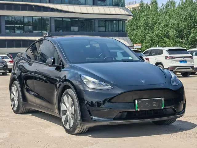 Tesla Model Y Rear-wheel drive version