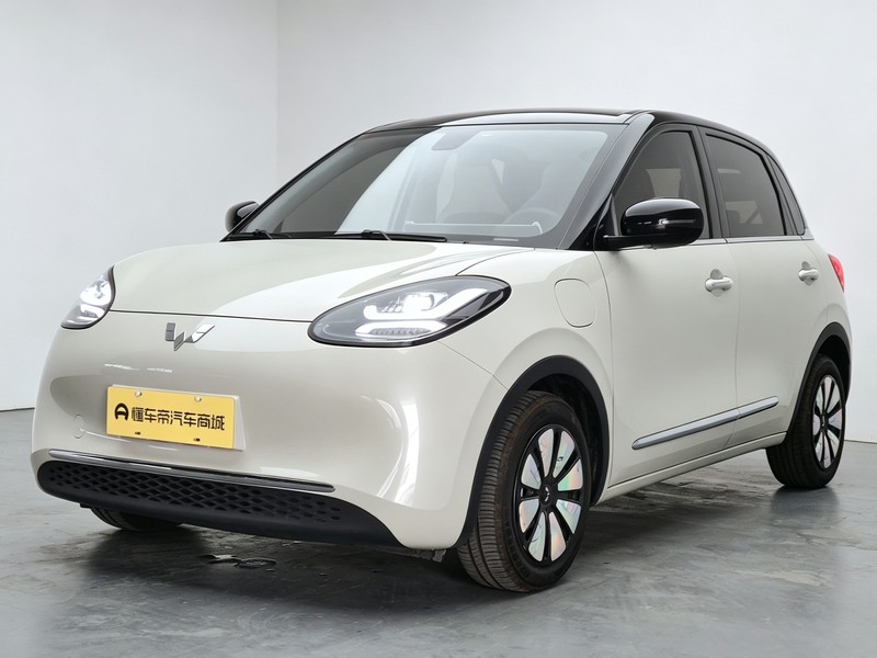 Wuling Wuling Binguo 2023