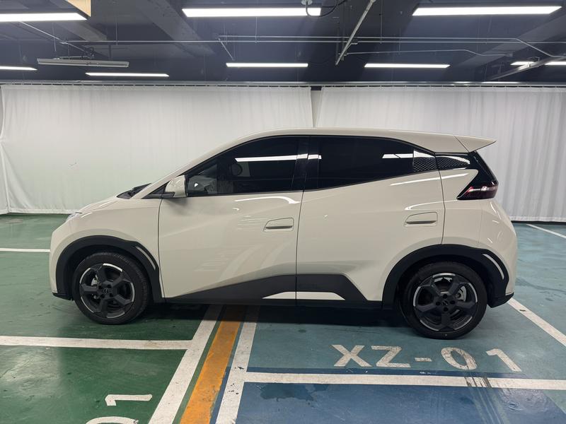 BYD seagull 2024