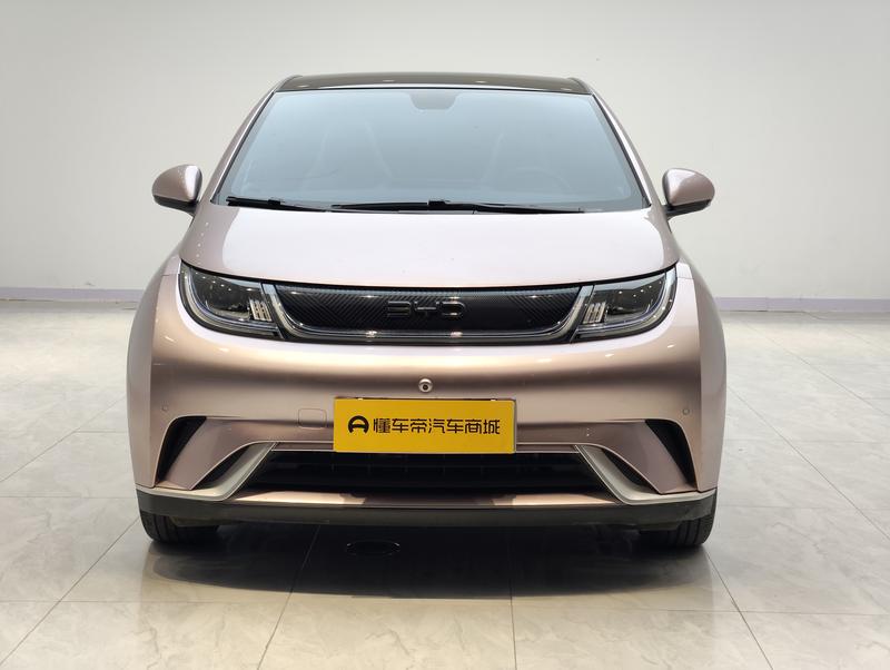 BYD dolphin 2024