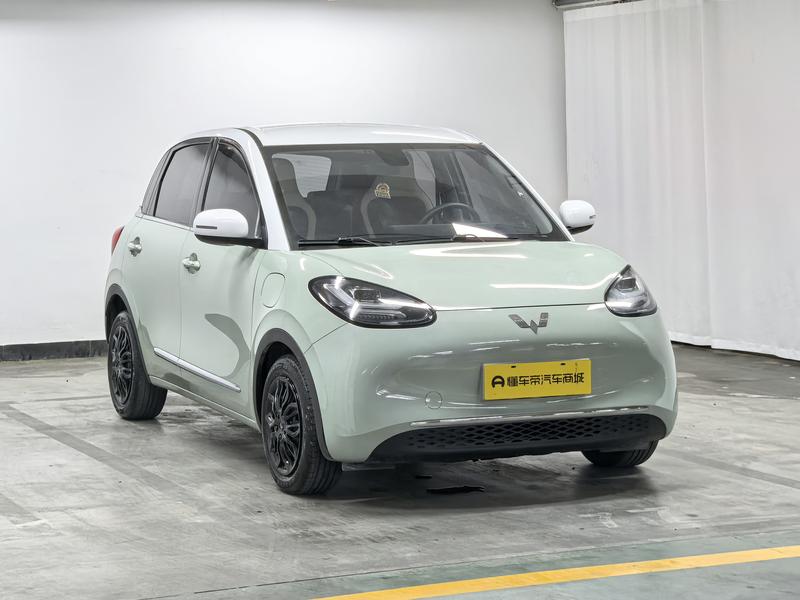 Wuling Wuling Binguo 2023