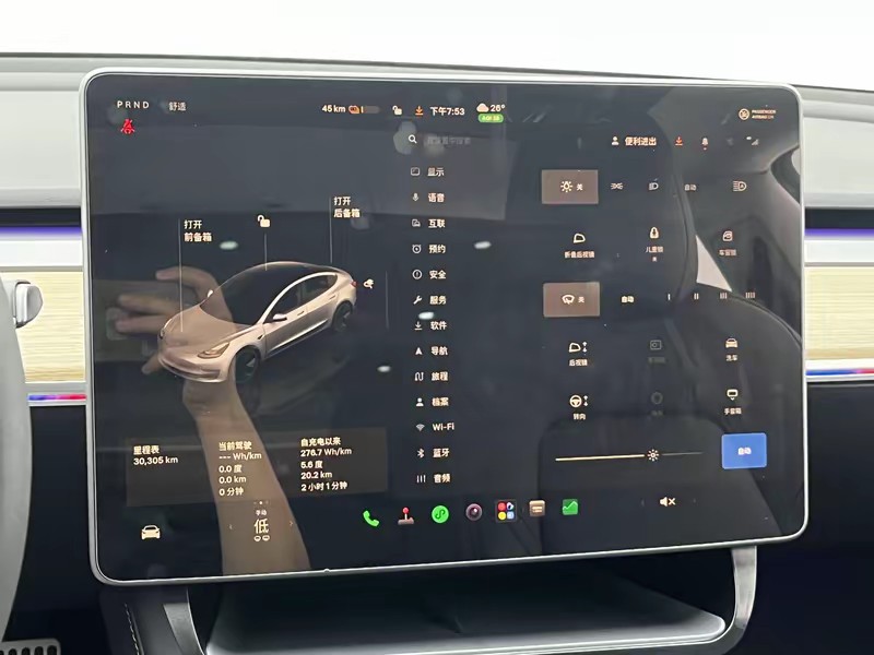 Tesla Model 3 2022