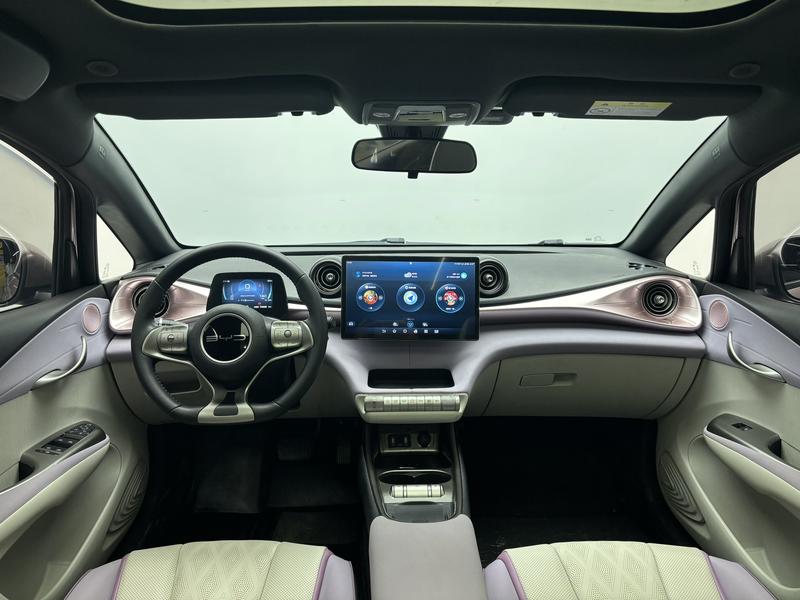 BYD dolphin 2023