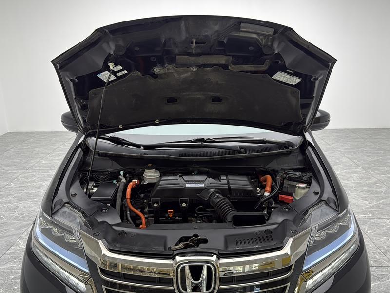 Honda Ailishen 2019