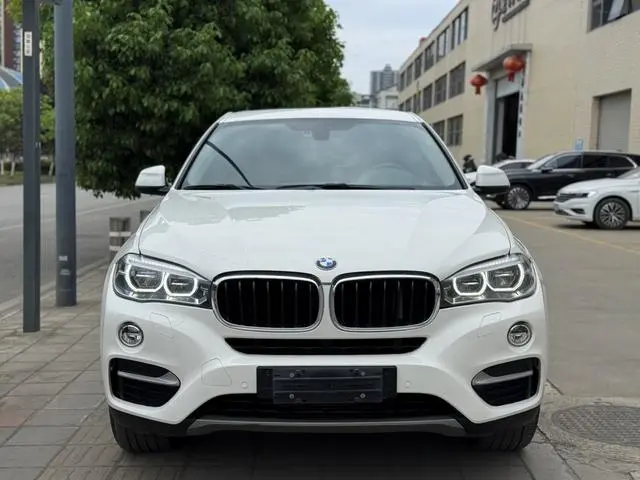 BMW BMW X6 xDrive35i leading type