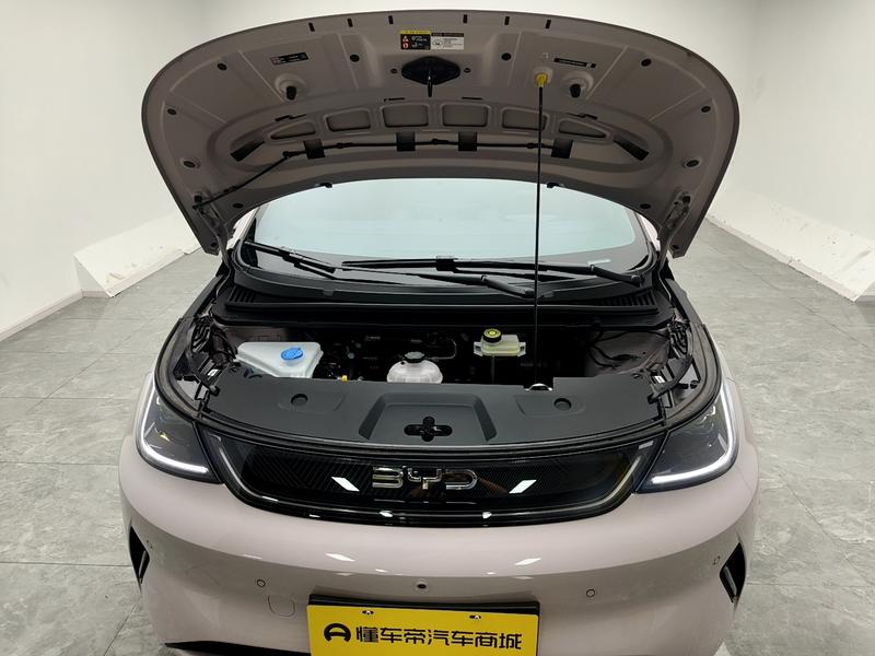 BYD dolphin 2025