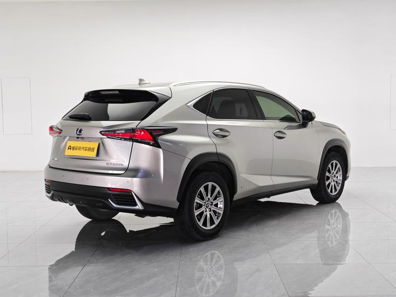 Lexus Lexus NX 2020
