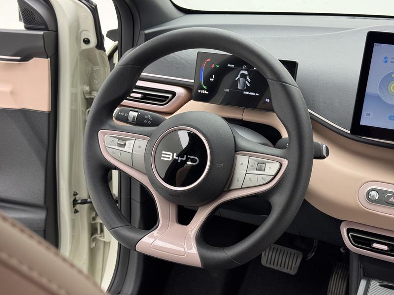 BYD seagull 2025