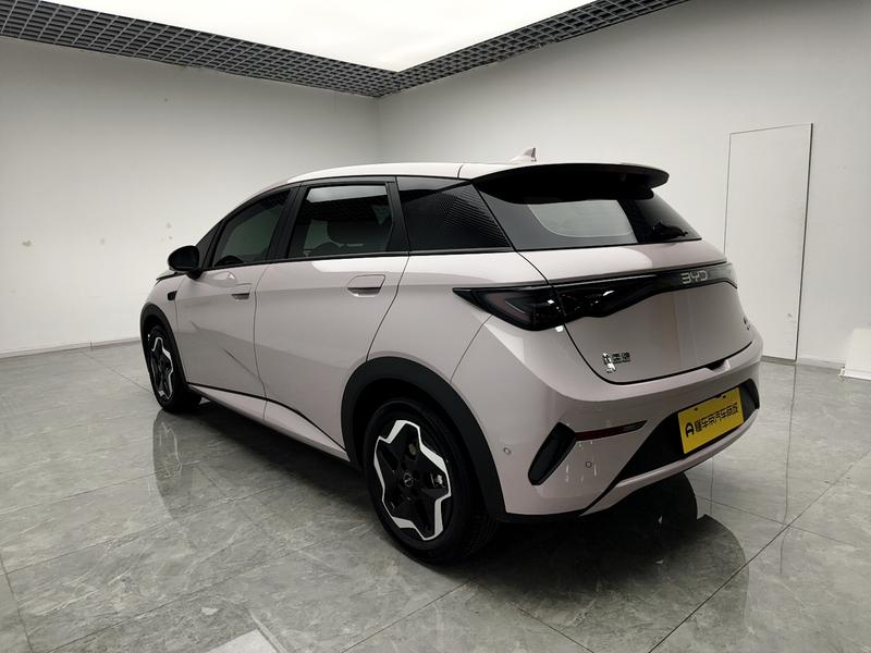 BYD dolphin 2025