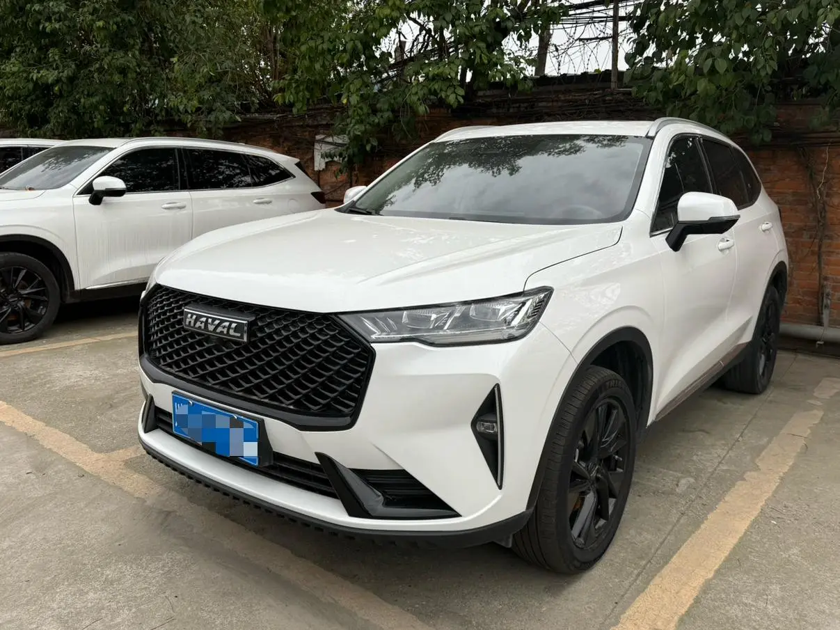 Haval Haval H6 The third generation 2.0T automatic four-wheel drive Max version