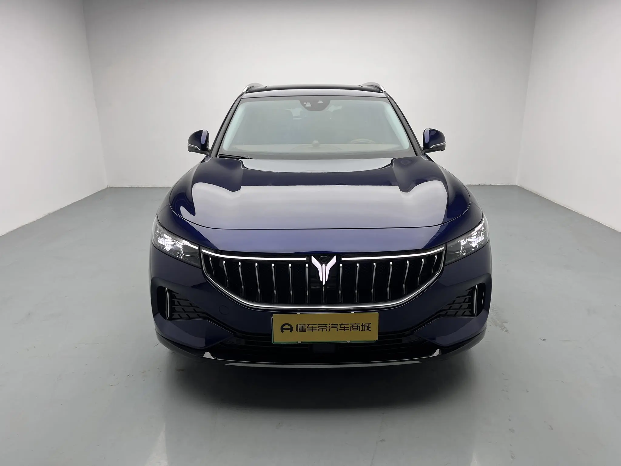 VOYAH Lan Tu FREE Four-wheel drive, long battery life, extended range version