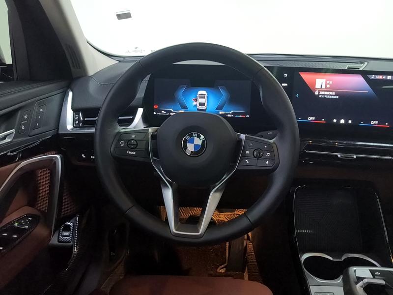 BMW BMW X2 (imported) 2025