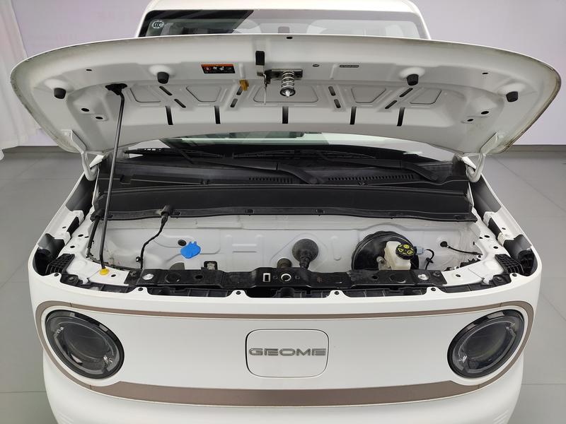 Geely Galaxy panda 2023