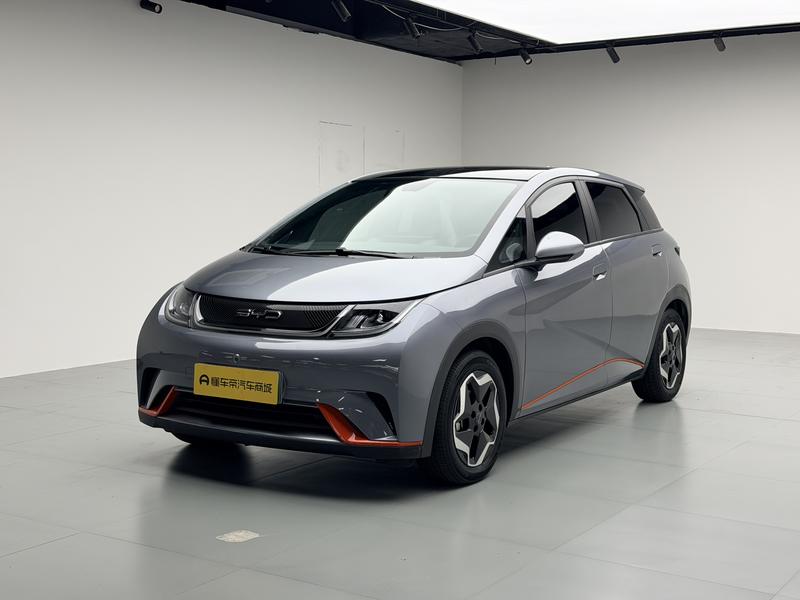BYD dolphin 2021