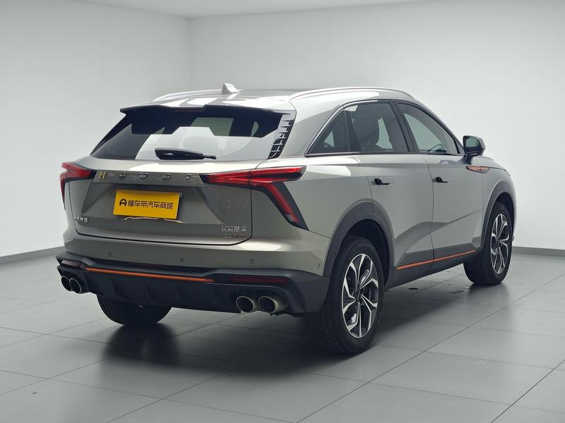 Haval Haval Divine Beast 2021