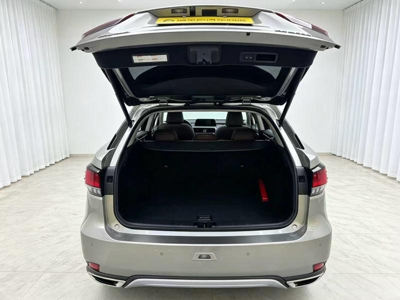Lexus Lexus RX 2020