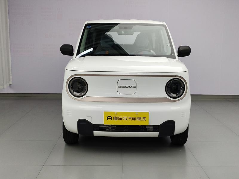 Geely Galaxy panda 2023