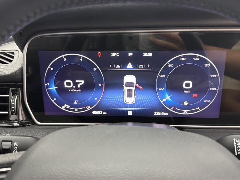 Hongqi Red Flag HS5 2022